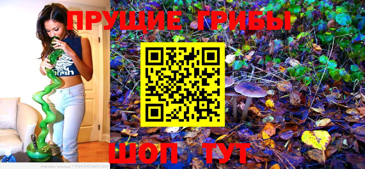 Псилоцибиновые грибы Cubensis Нурлат